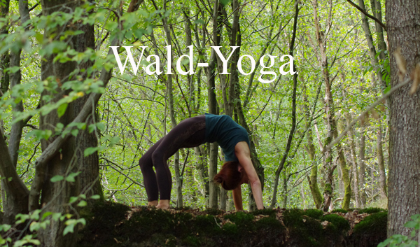 Wald-Yoga